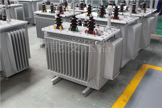 三门峡S22-250KVA/10KV变压器